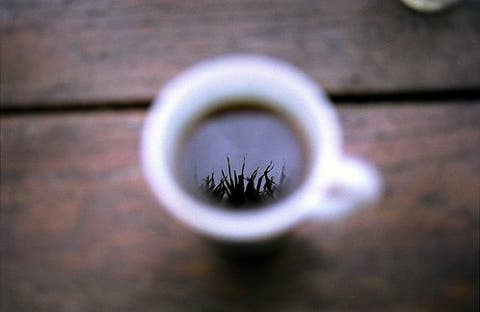 Gracias por los cafés: Junio 2009