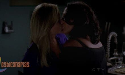 Callie y Arizona resumen de episodio 8×06