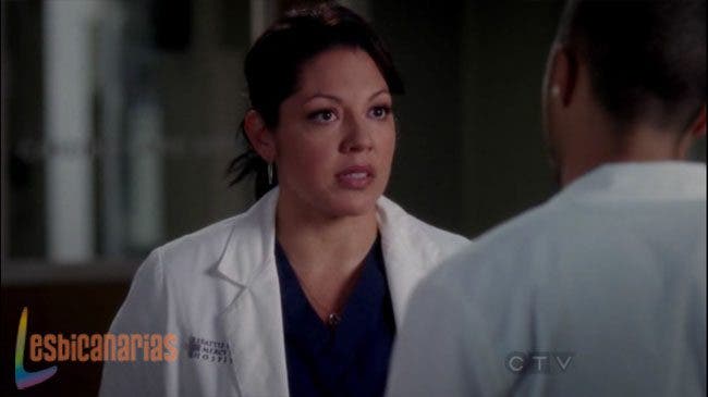 Spoilerlandia: Lo que se viene en el futuro de Callie y Arizona