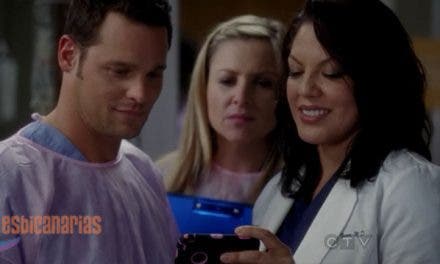 Callie y Arizona resumen de episodio 8×17 Anatomía de Grey