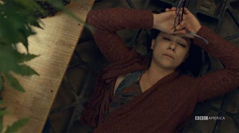 Cosima cuarta temporada de orphan black