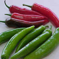 Pequeñas pero Picantes Enero 2010