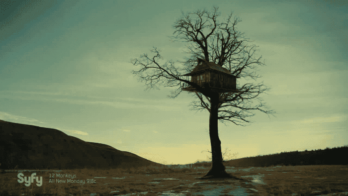 Me voy a ir a vivir ahí con wifi