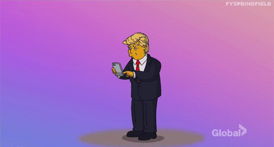 lisasimpson alicorn rainbow trump troll